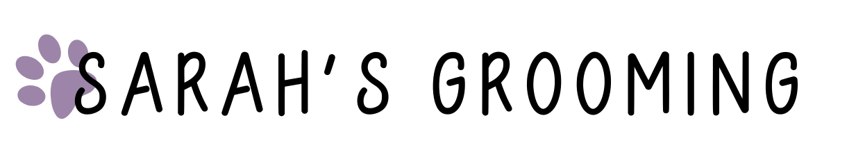 NCH Web Design